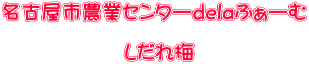 名古屋市農業センターdelaふぁーむ  　　　　　　しだれ梅