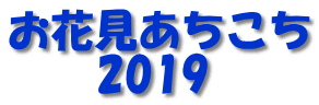 お花見あちこち 　　2019